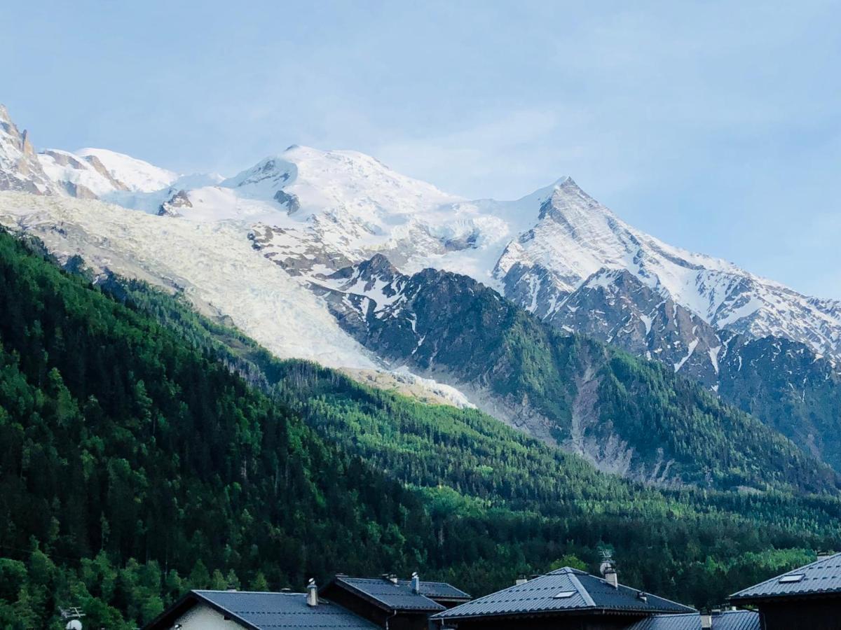 Апартаменты Mont Blanc 43, Vue Mont Blanc , Balcon, Parking Шамони Экстерьер фото