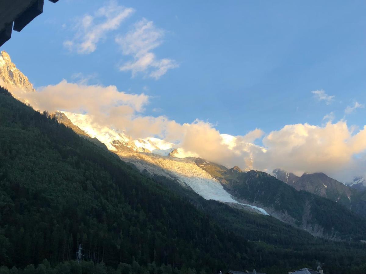 Апартаменты Mont Blanc 43, Vue Mont Blanc , Balcon, Parking Шамони Экстерьер фото