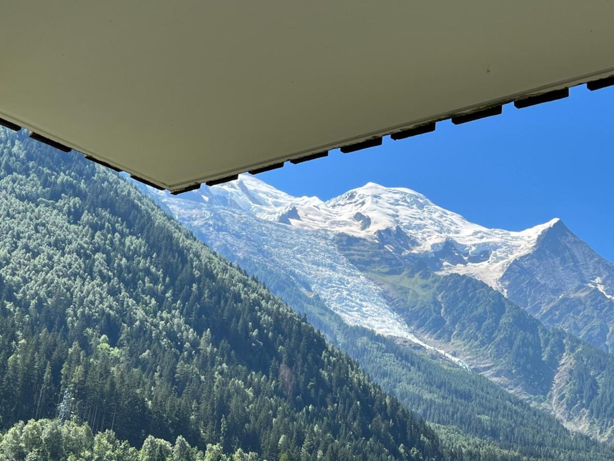 Апартаменты Mont Blanc 43, Vue Mont Blanc , Balcon, Parking Шамони Экстерьер фото