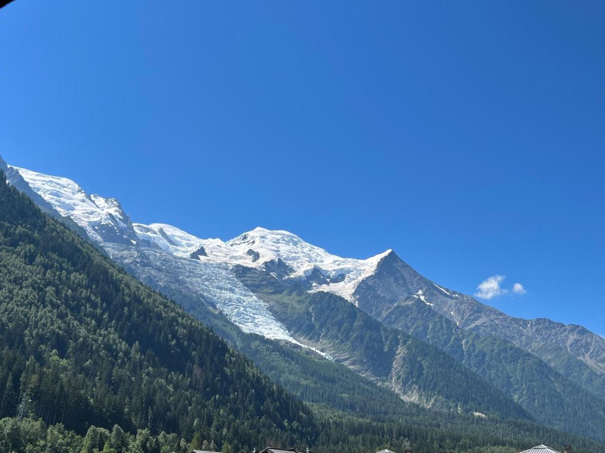 Апартаменты Mont Blanc 43, Vue Mont Blanc , Balcon, Parking Шамони Экстерьер фото